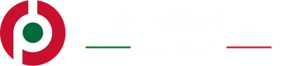 Professional Aviation Academy logo