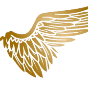 S&C Aviation logo