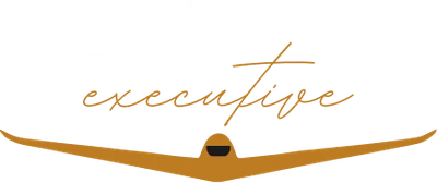 SkyMark Executive logo