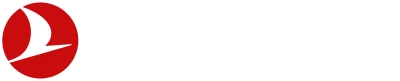 Turkish Technology logo