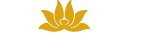 Vietnam Airlines logo