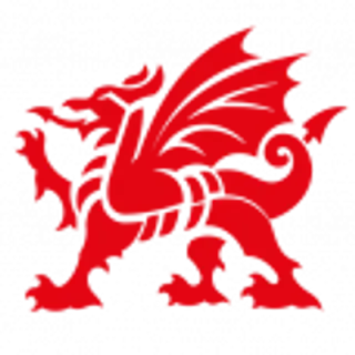 Wales logo