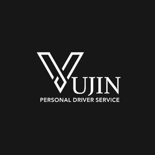 VIP Service Vujin logo
