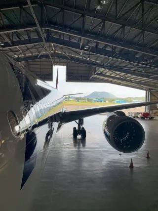 AFEXS (Airframe Experts)