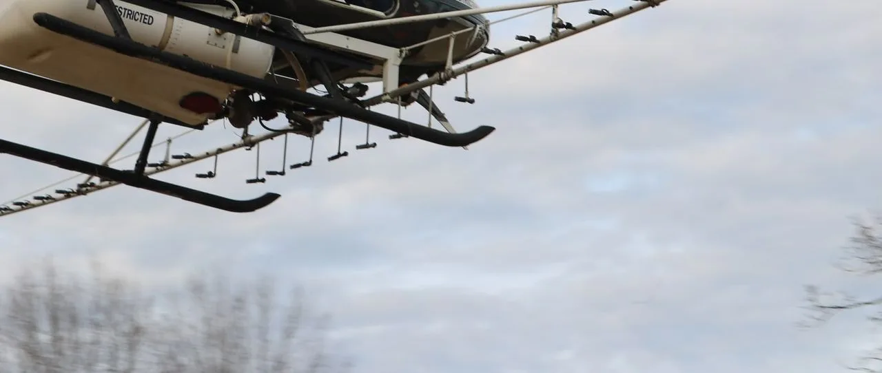 Aerial Forestry Services: photo 2
