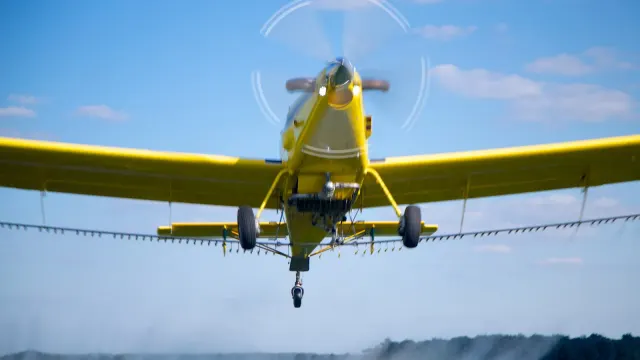 Air Andrew: photo 3