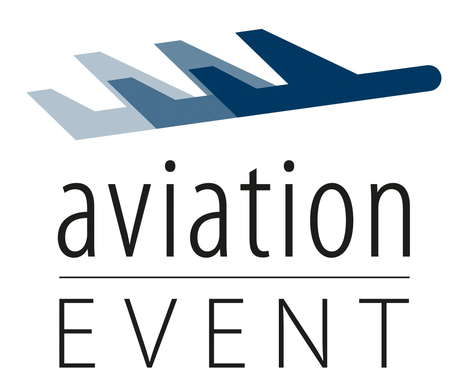 Aviation Advocacy- providing advisory services to the aviation industry: photo 2
