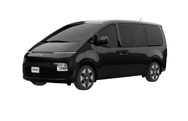 Deluxe Limousine: photo 1