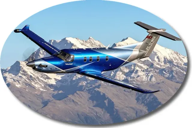 Executive Flight Training: photo 2