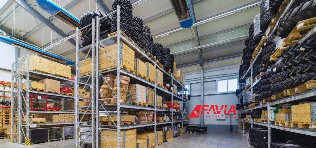 Favia International