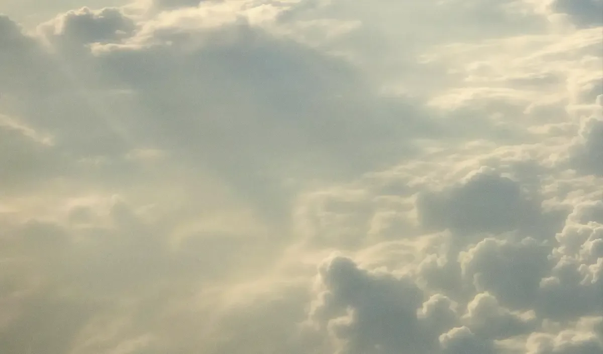 Flyby Guys photo 1