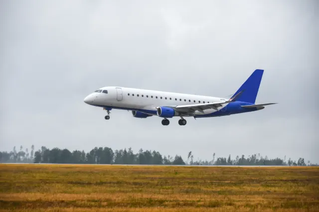 GAR-MRO Services: photo 3