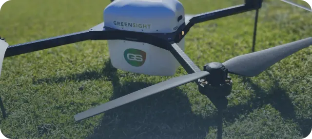 GreenSight