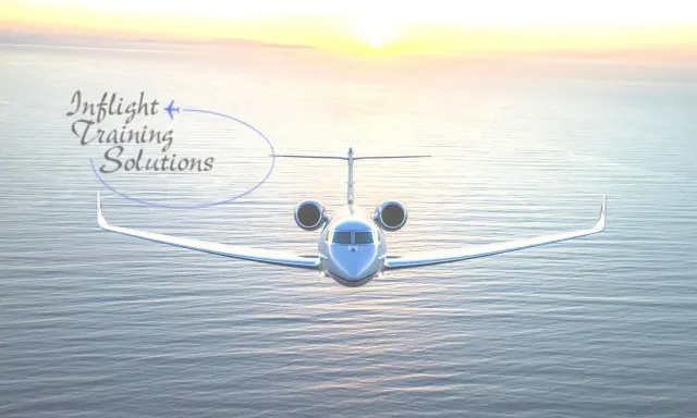 Inflight Training Solutions: photo 1