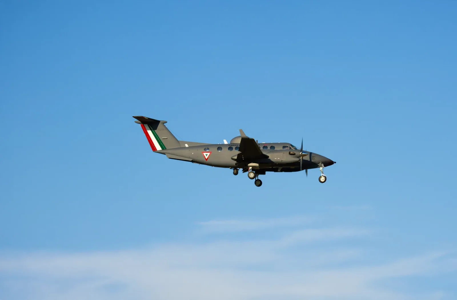 Integrated Surveillance and Defense: photo 3