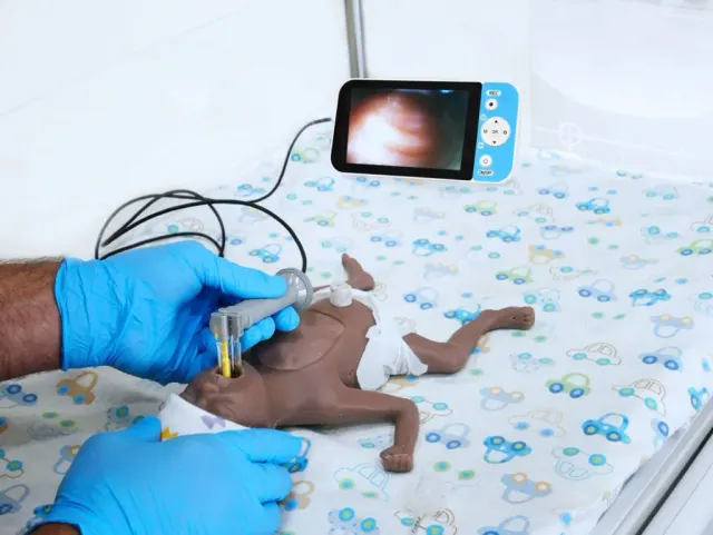 International Biomedical: photo 3