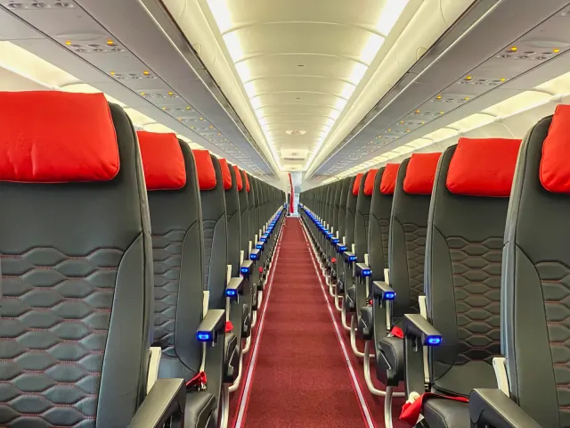 Mirus Aircraft Seating: photo 5