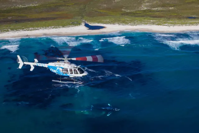 NAC Helicopters - Cape Town photo 1
