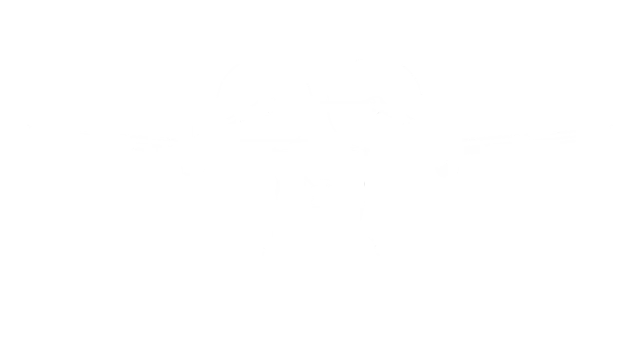 NEX Aero photo 1