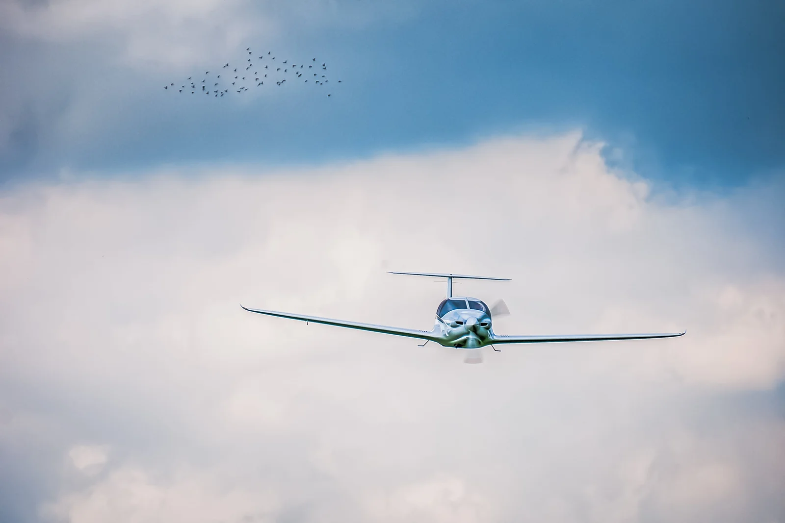 Pipistrel Aircraft: photo 3