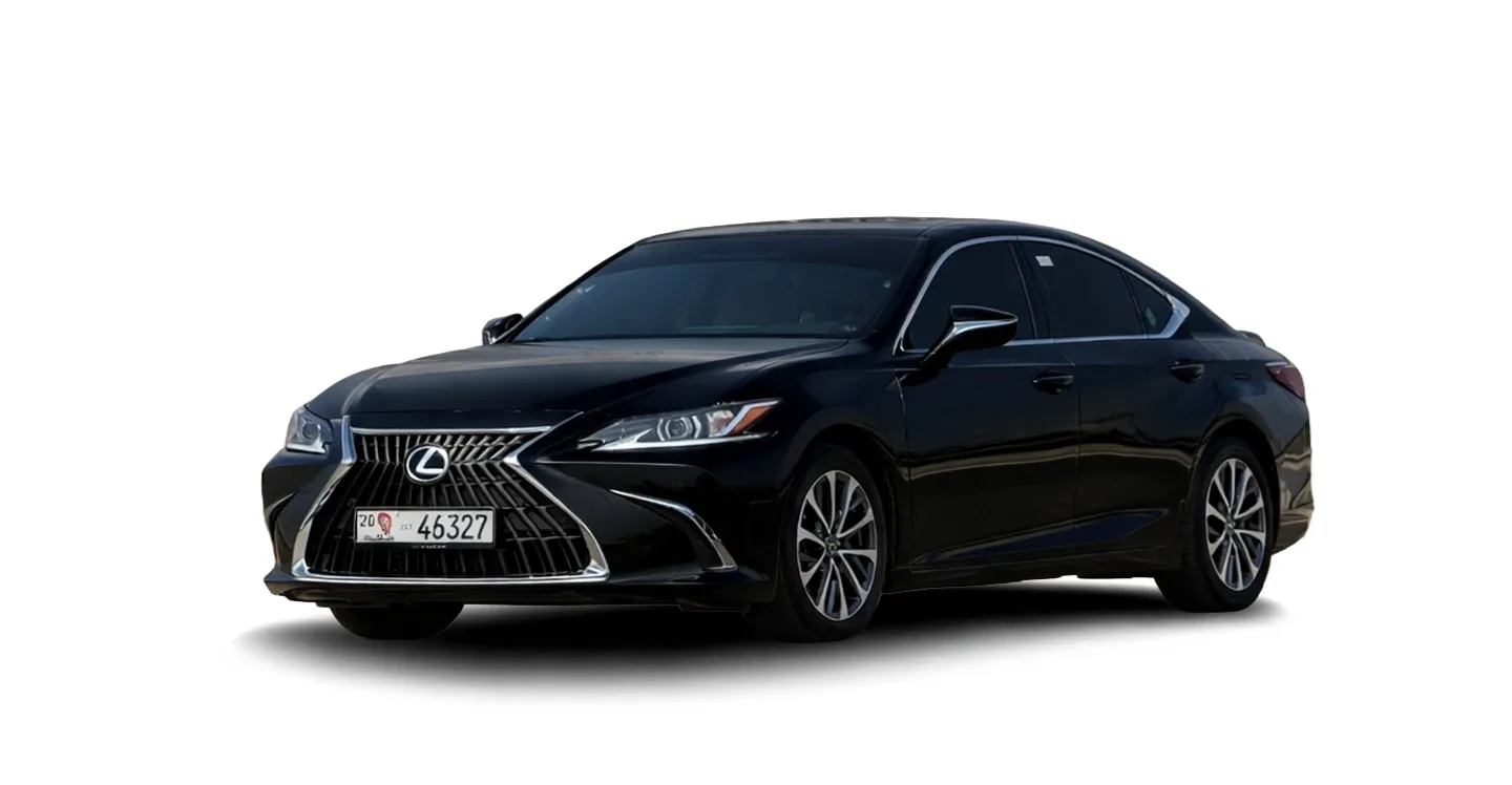 Prominent Limousine: photo 1