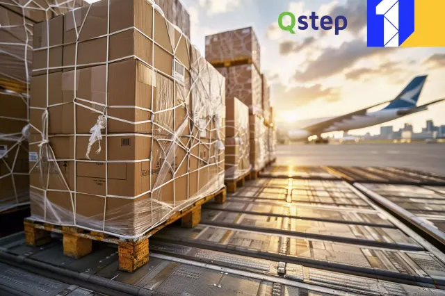 Qstep Logiciel photo 2