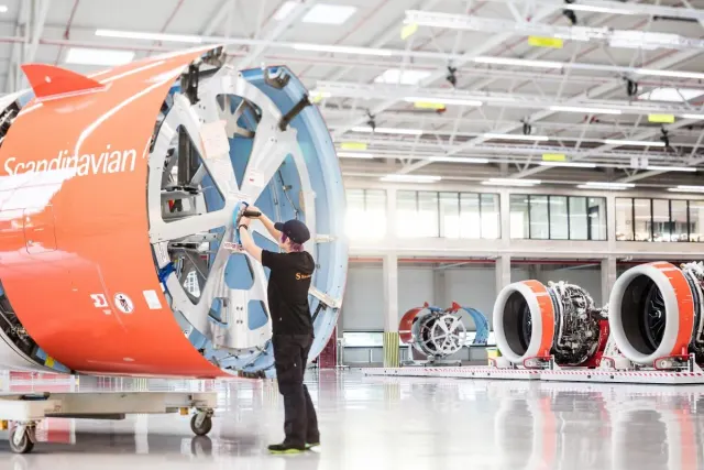Safran: photo 3