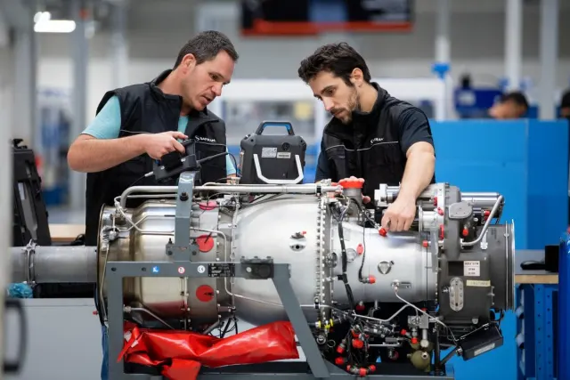 Safran: photo 5