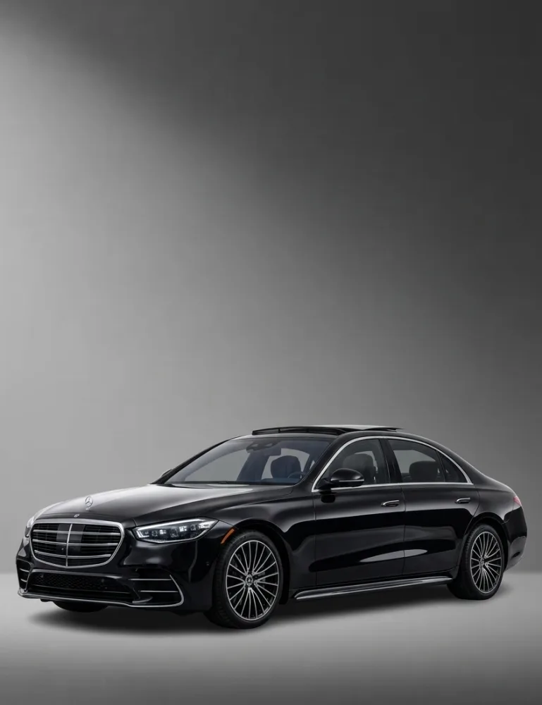 Titanium Limousines: photo 3
