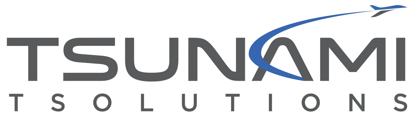Tsunami Tsolutions: photo 1