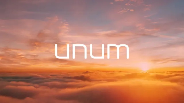 Unum Aircraft Seating: photo 3