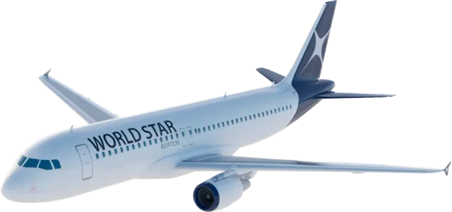 World Star Aviation: photo 3
