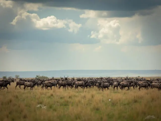 Photo: African Thunder Travel, from the company website
