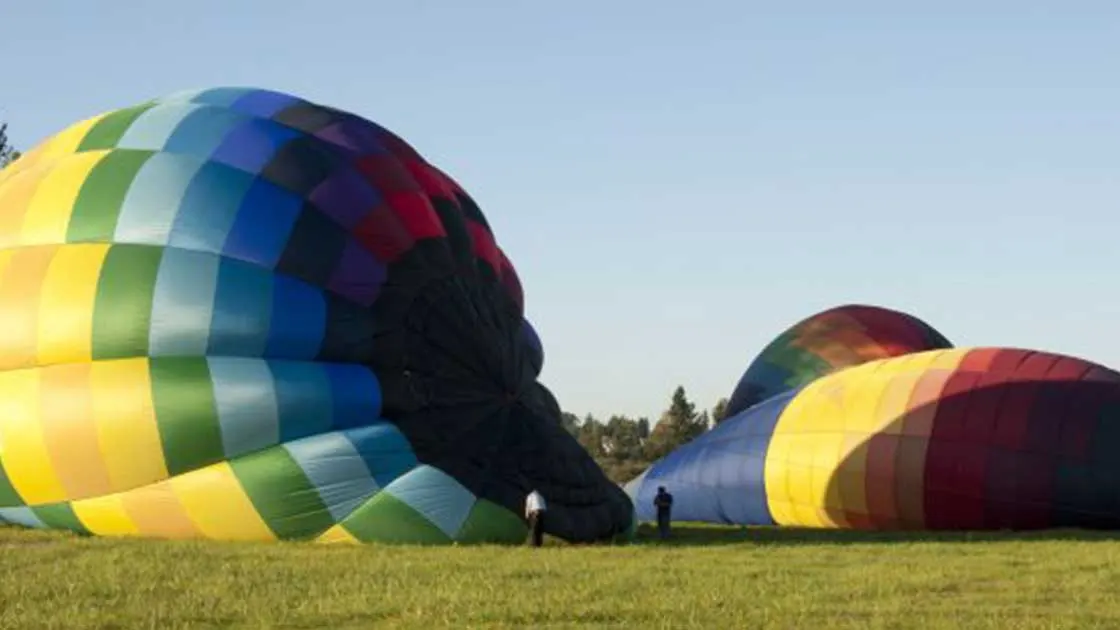 Photo: Balloon Depot, from the company website
