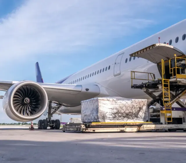 Photo: Bird Travels Private Limited, from the company website