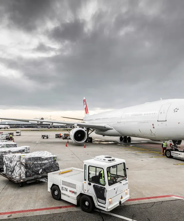Photo: Cargologic AG, from the company website