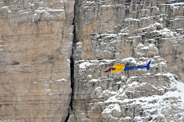 Elicampiglio S.r.l.