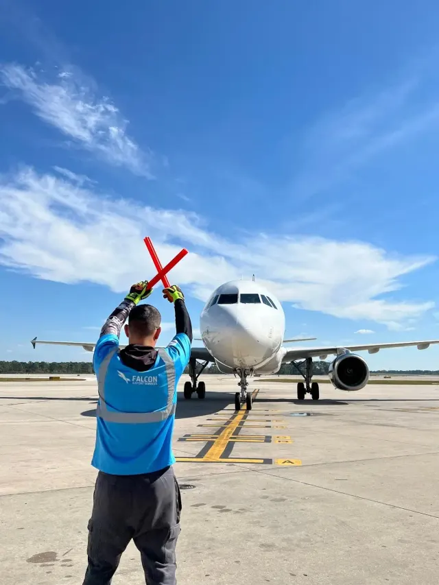 Falcon Airport Services
