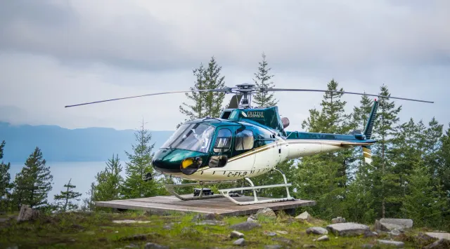 Grizzly Helicopters Ltd.