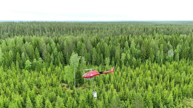 Kallax Flyg