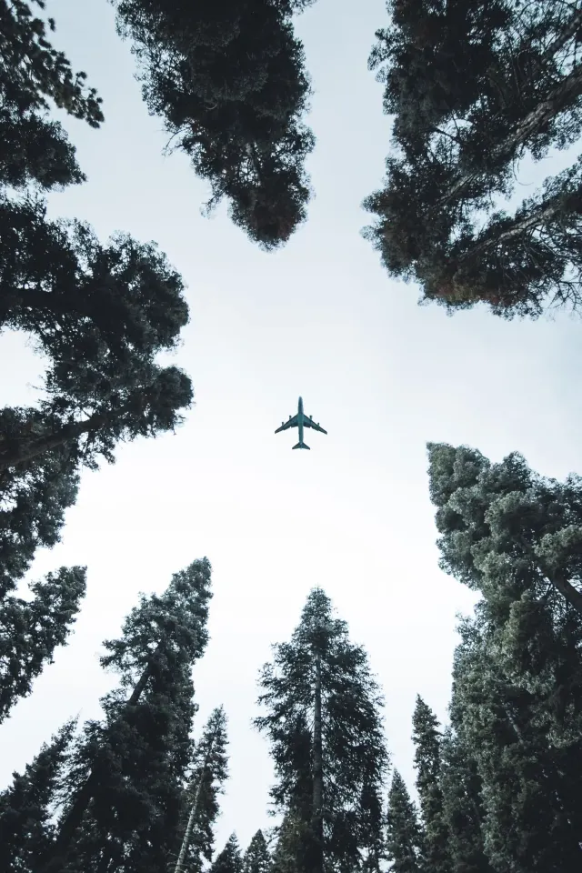 Photo: Mundiaereo, from the company website