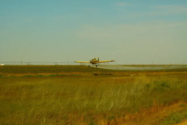 Photo: Neal Aircraft Inc, from the company website