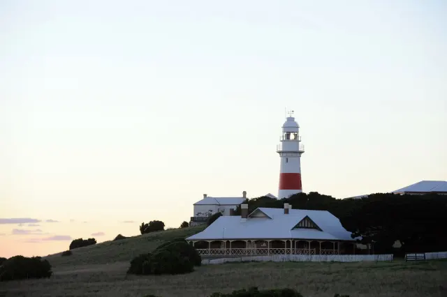 Photo: Penguin tours & travel ltd, from the company website