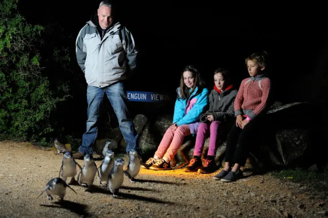 Penguin tours & travel ltd