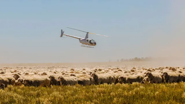 Robinson Helicopter Company: photo 5