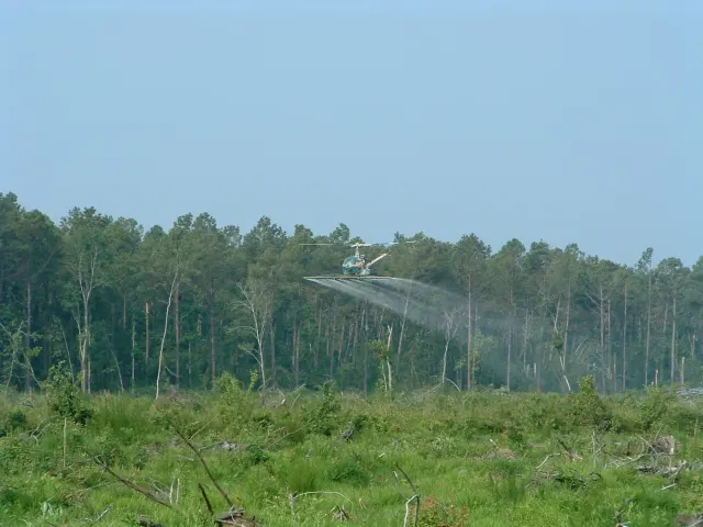 Photo: Summit Helicopters, from the company website