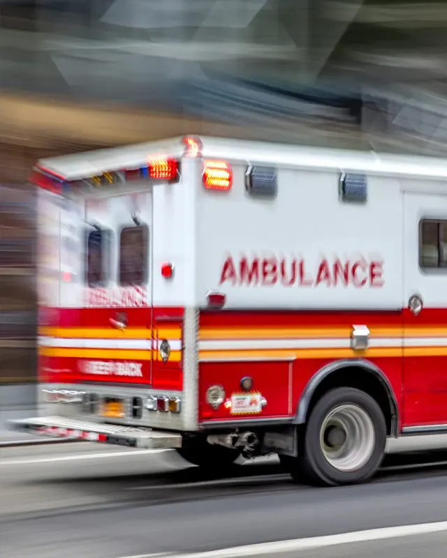 Photo: TRAUMAGEL, from the company website