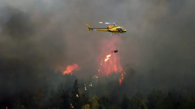 Type One Incident Support