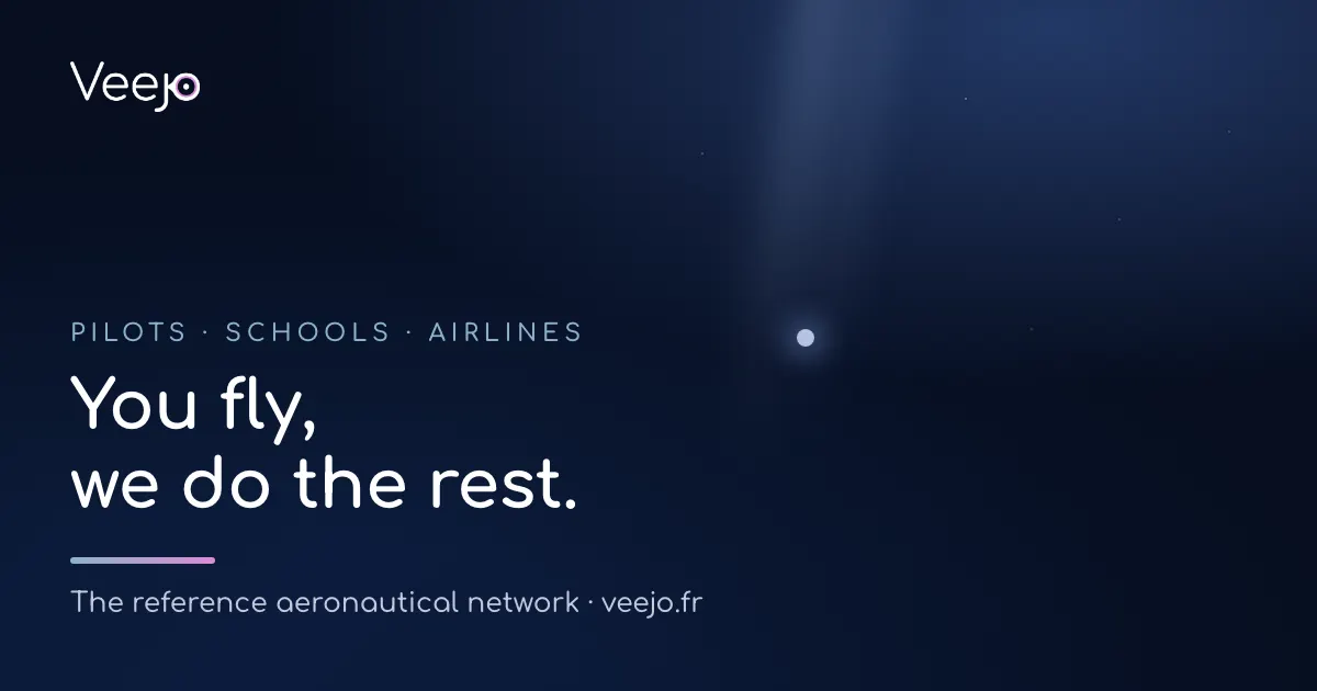 Photo: Veejo, from the company website