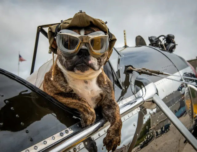 Photo: Vintage Wings & Wheels Museum, from the company website